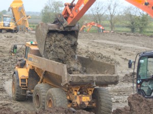 tadpolefarm 02 - Environmentally Sensitive Housing Scheme Project tadpolefarm_02