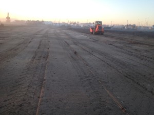 Tilbury Roller - Tilbury Distribution Centre SGE, Tilbury, Roller